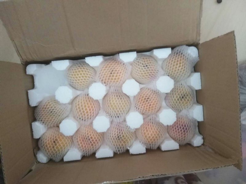 一件代发黄桃水果