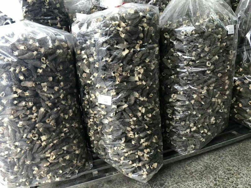 羊肚菌干精品保质保量