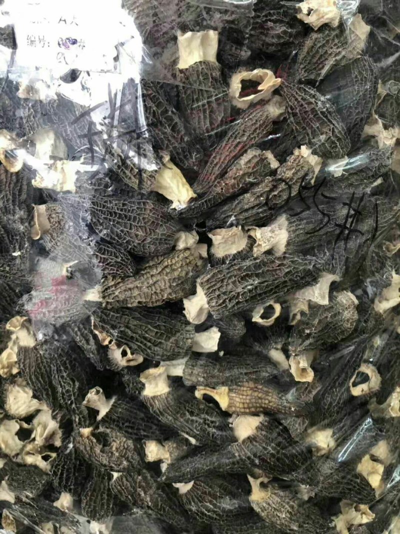 羊肚菌干精品保质保量