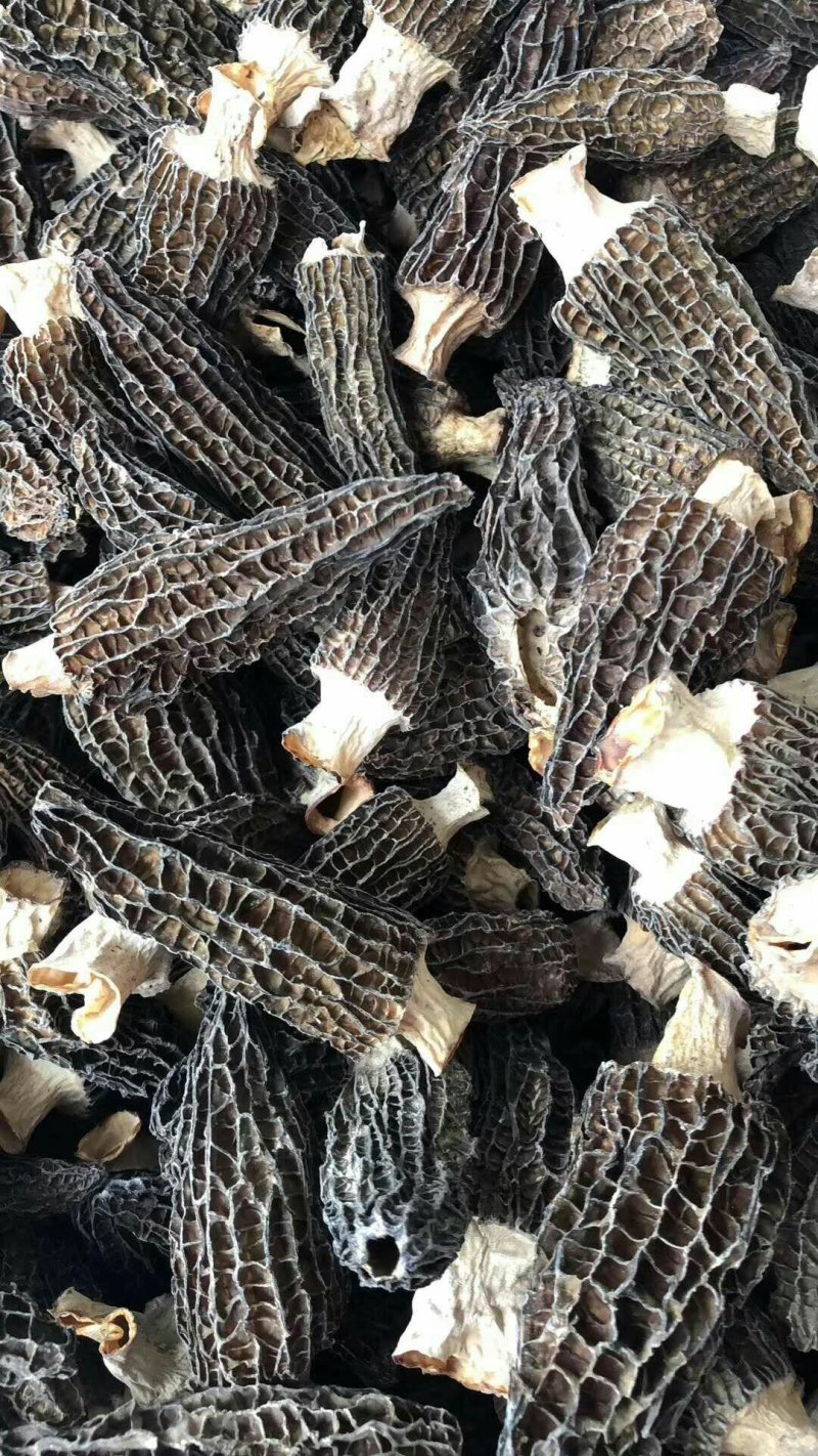 羊肚菌干精品保质保量
