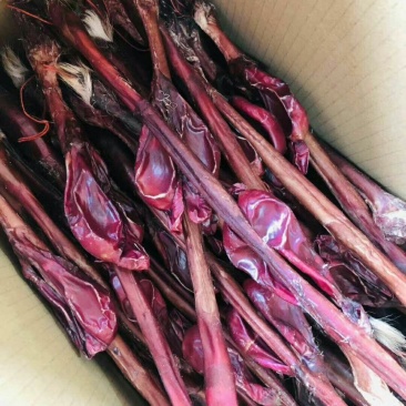 鹿鞭正品正宗量大优惠