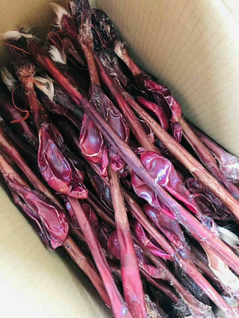 鹿鞭正品正宗量大优惠