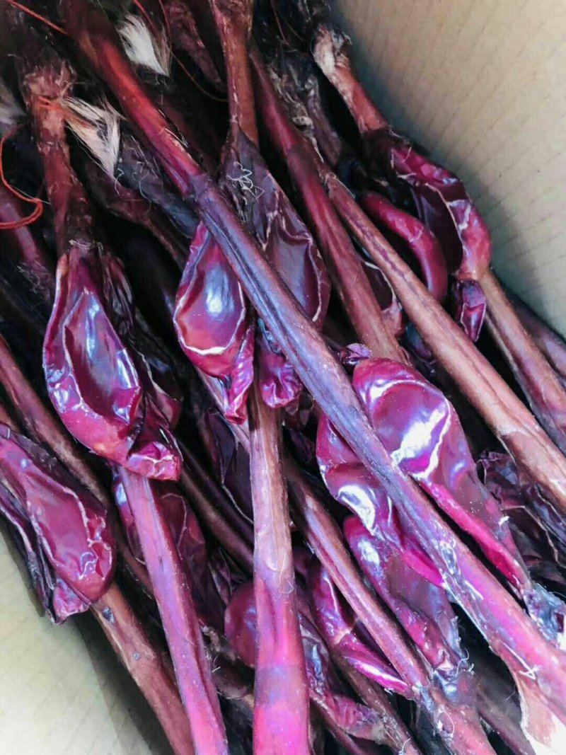 鹿鞭正品正宗量大优惠