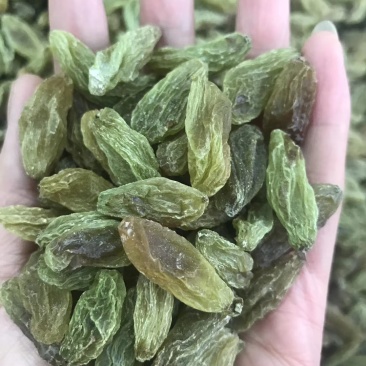 吐鲁番大粒绿香妃葡萄干2斤起包邮
