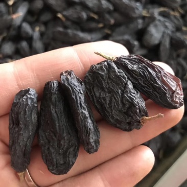 新疆吐鲁番黑加仑王级葡萄干2斤起包邮