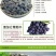 黑加仑一级无添加葡萄干