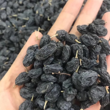 黑加仑一级无添加葡萄干