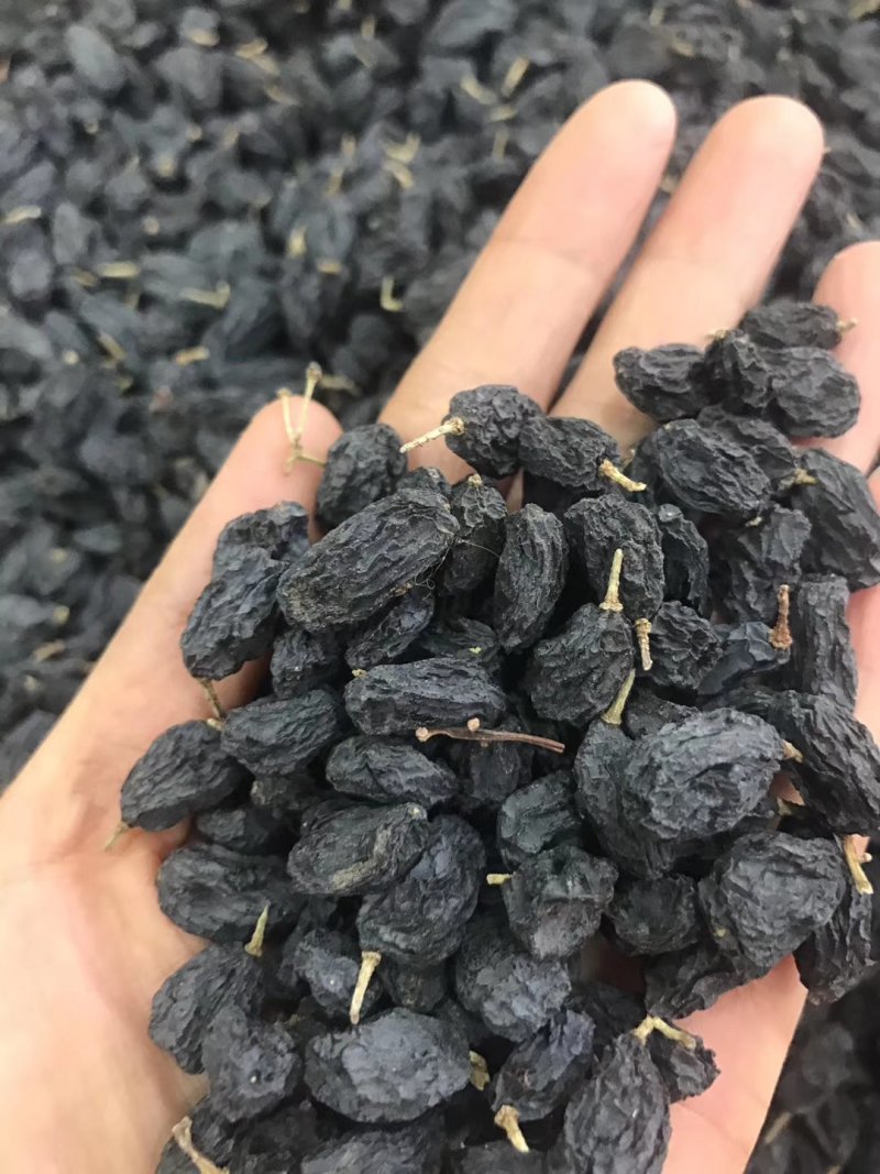 黑加仑一级无添加葡萄干