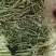 苜蓿草苜蓿种植基地玉门苜蓿草苜蓿草批发酒泉苜蓿草