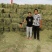 苜蓿草苜蓿种植基地玉门苜蓿草苜蓿草批发酒泉苜蓿草