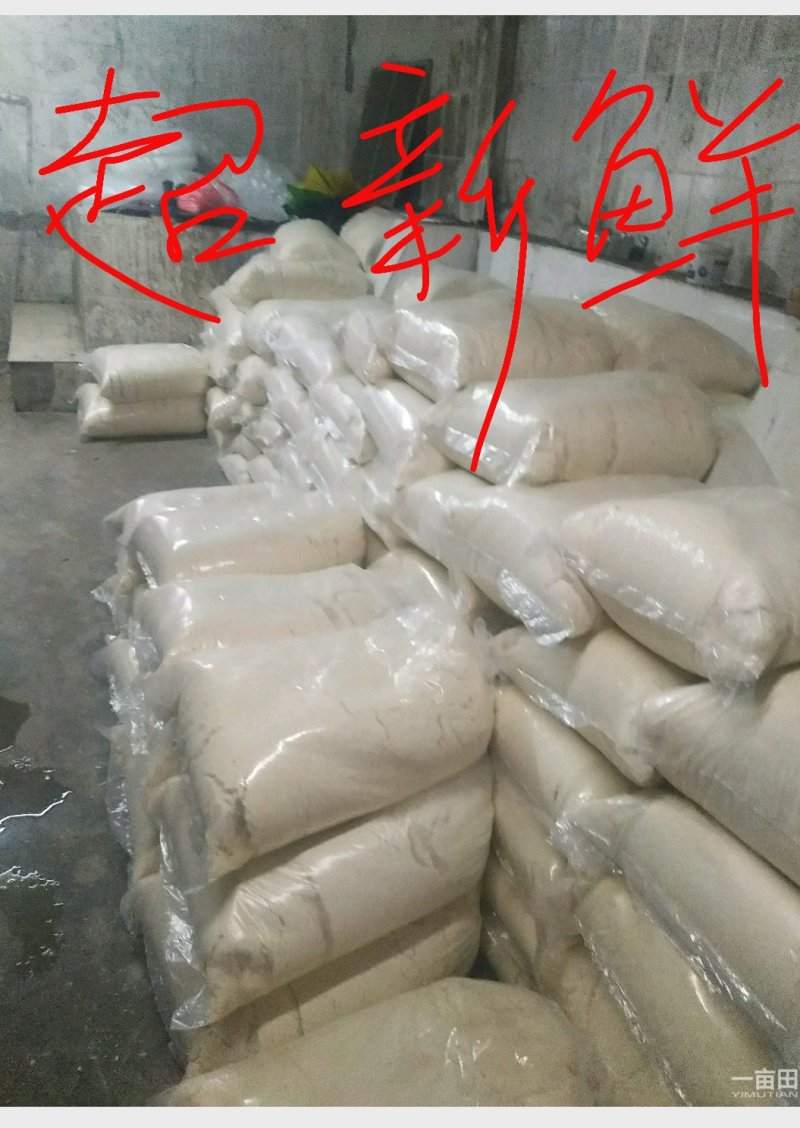 新鲜豆腐渣加工成猪牛羊鱼饲料鸭饲料很好，正宗绿色食品！