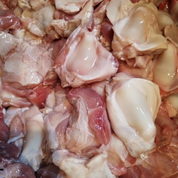 乳牛窝骨烤牛骨的特色菜常年加工乳牛分割产品