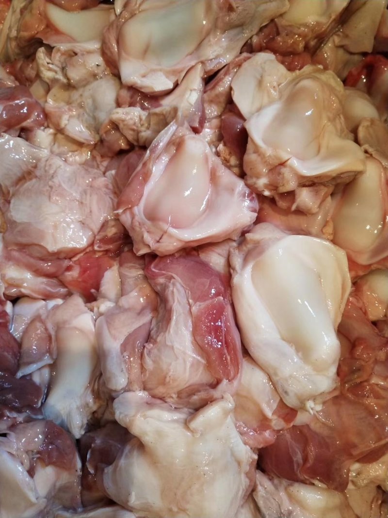 乳牛窝骨烤牛骨的特色菜常年加工乳牛分割产品