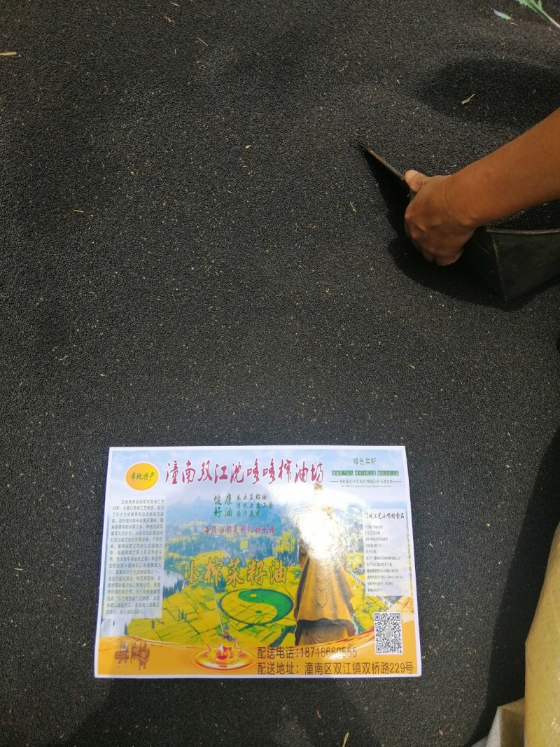 2019潼南本地纯正小榨菜籽油
