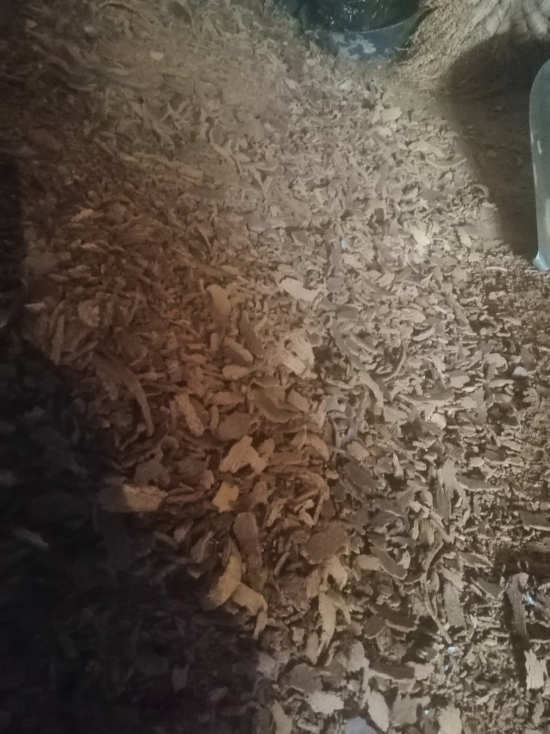 油枯