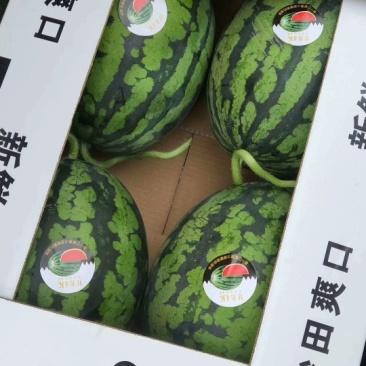全美4K，优质，甘美四k，江苏二茬
