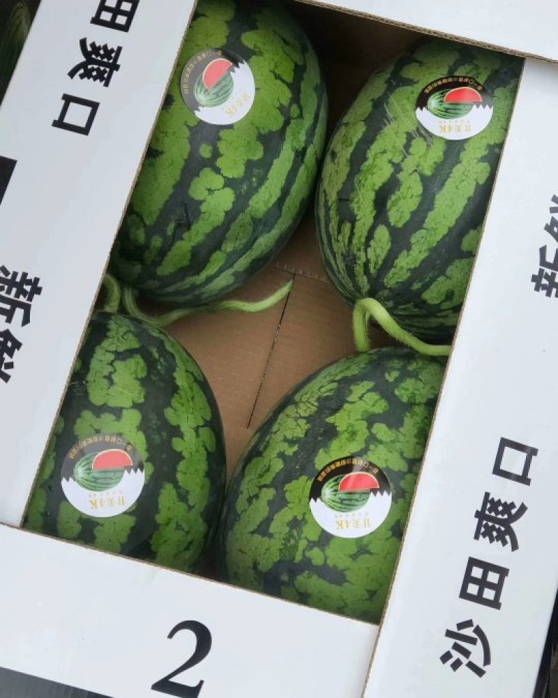 全美4K，优质，甘美四k，江苏二茬
