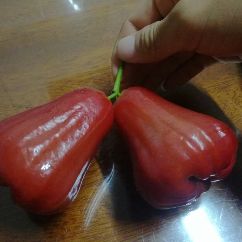 正宗优质黑金刚莲雾苗