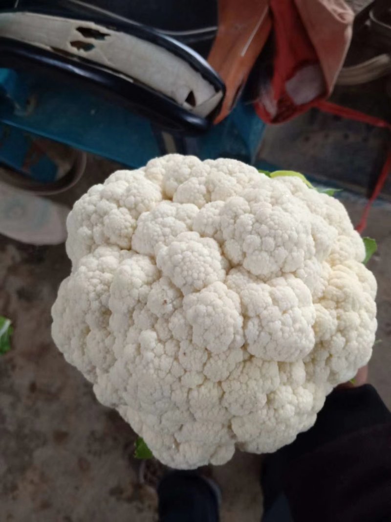 精品花菜