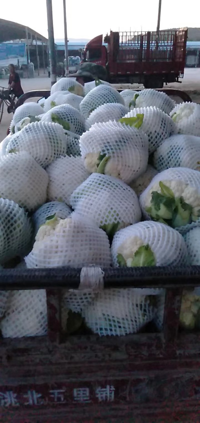 精品花菜