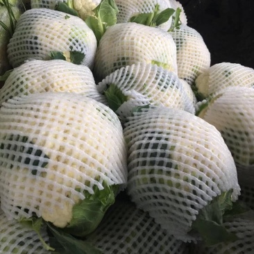 精品花菜