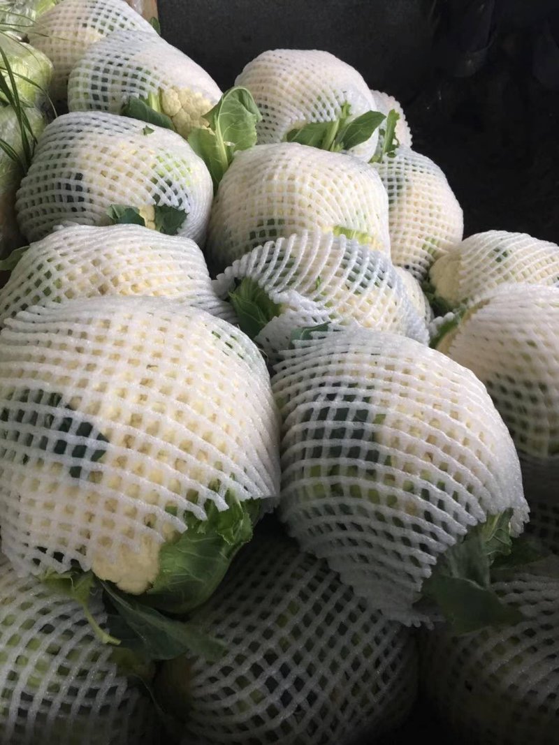 精品花菜