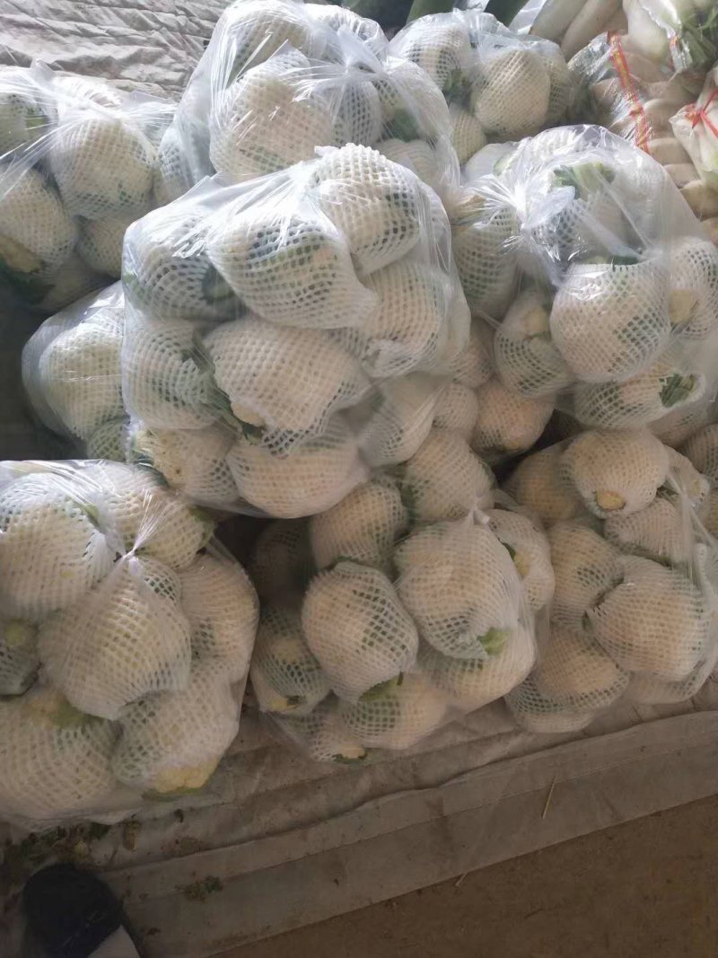 精品花菜