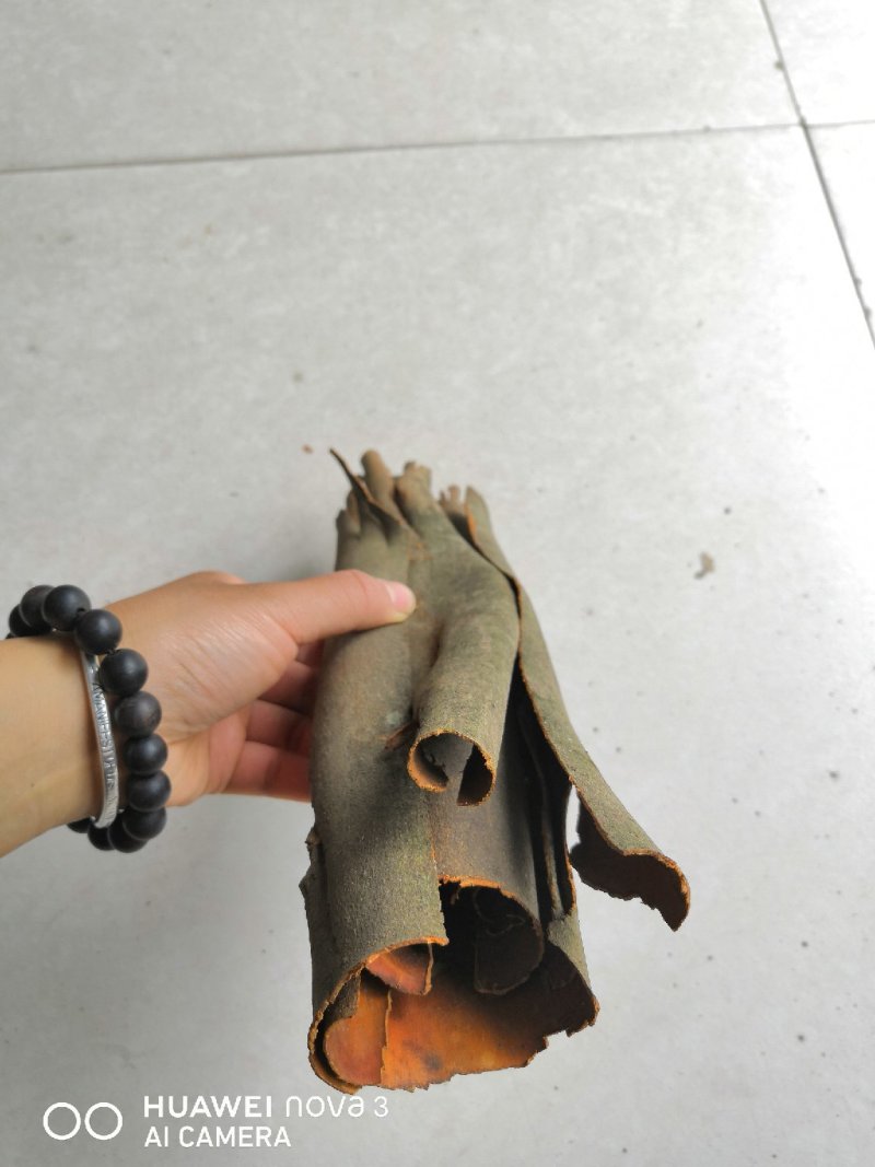 野生香桂皮