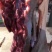 肉驴，驴肉真空包装