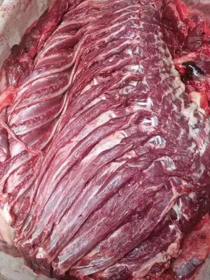 肉驴，驴肉真空包装