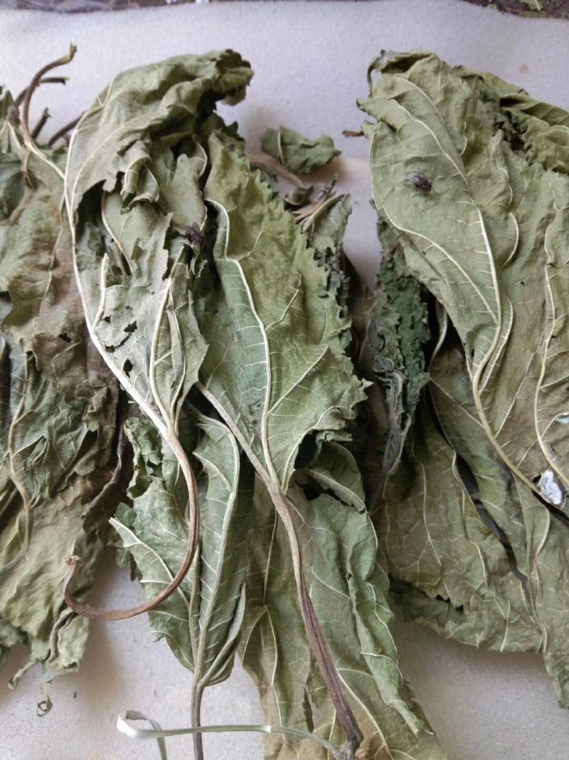 桑椹干，量大