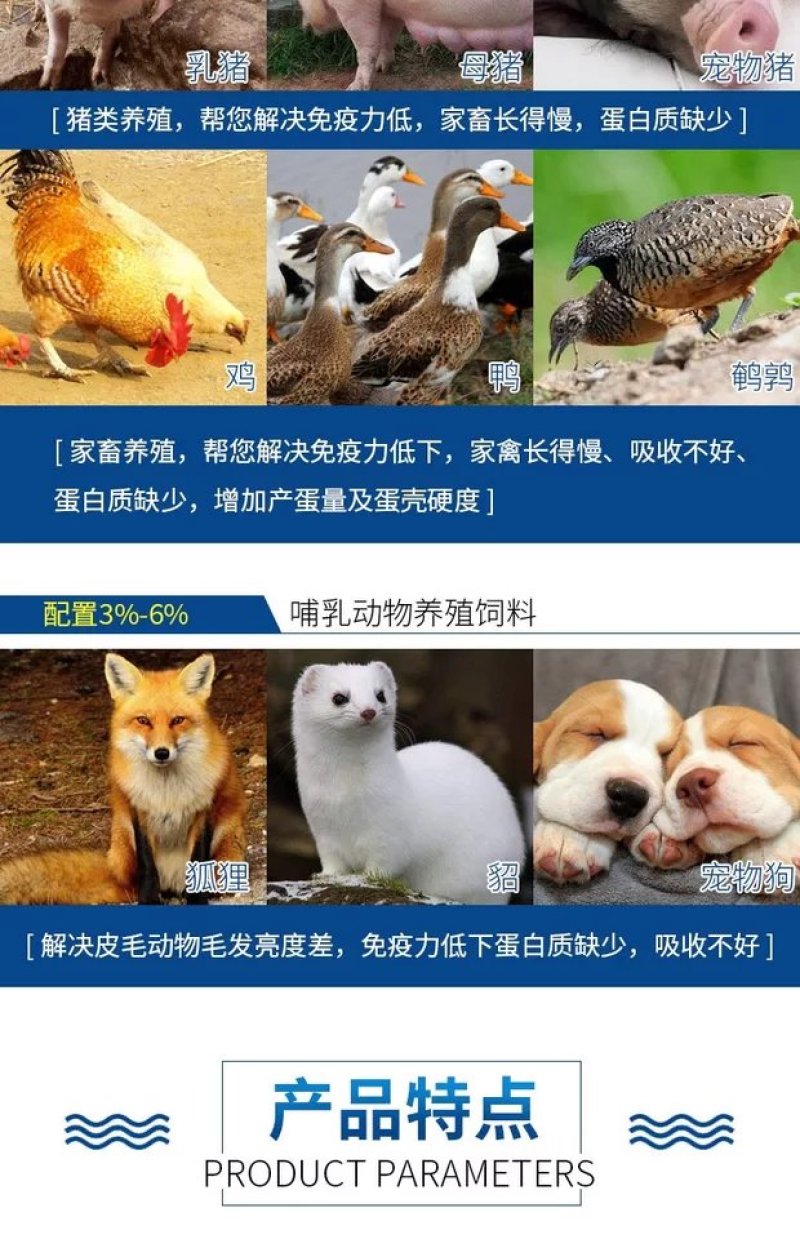 饲料原料进口鱼粉蛋白68蛋白