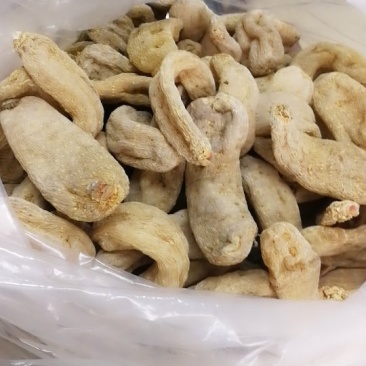 天麻
