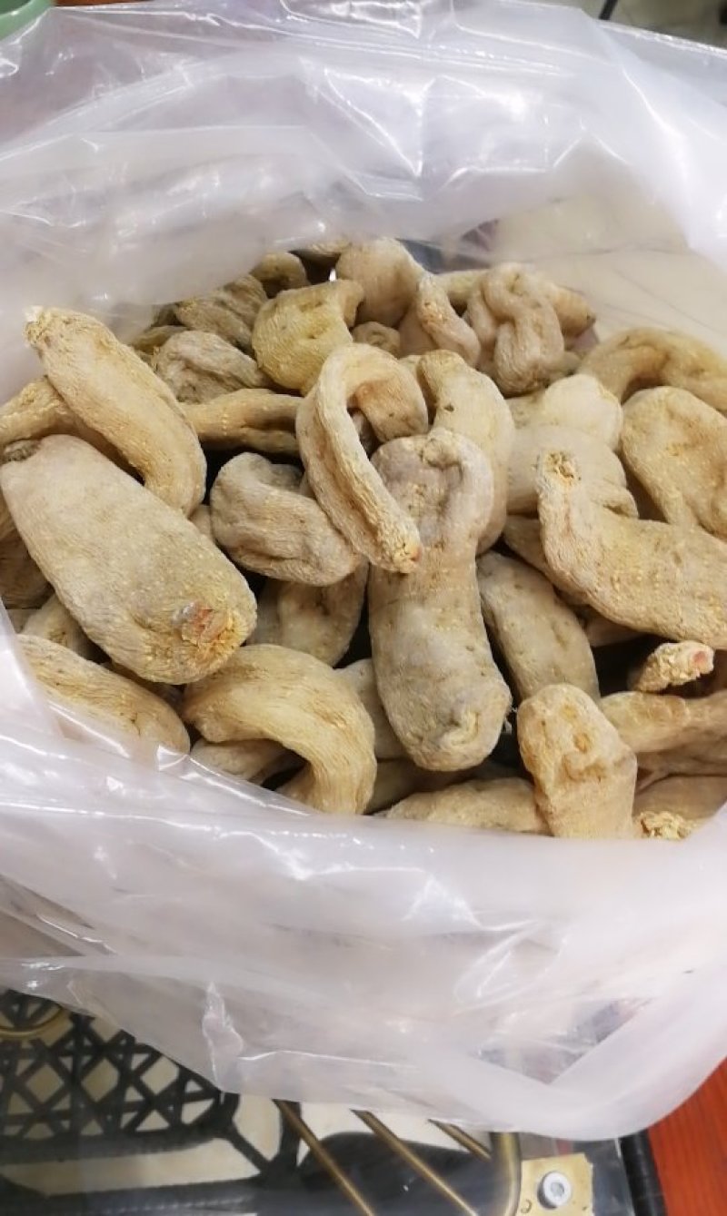 天麻
