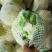 甘肃精品花菜大量上市产地直销，价格便宜欢迎前来选购