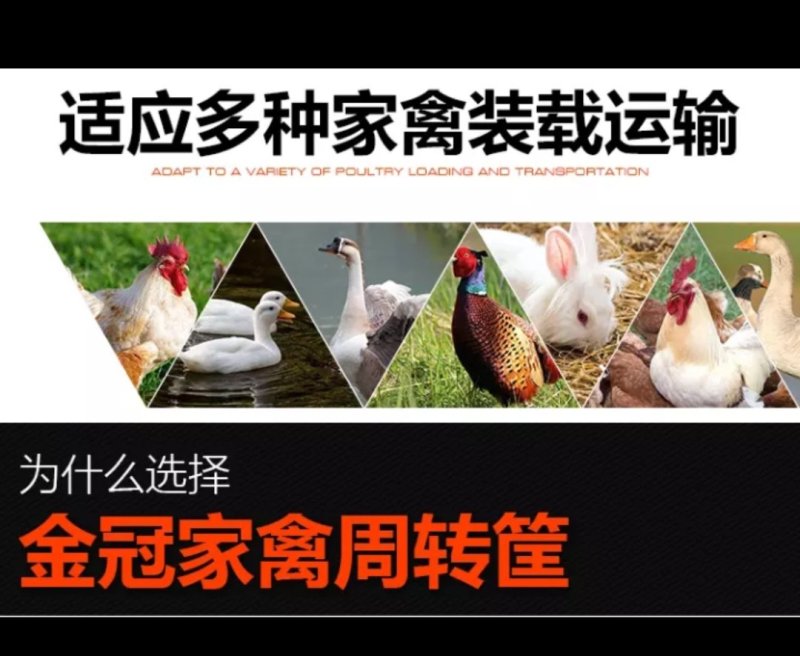 （包邮）成鸡周转箱加强型特大运输用运输筐鸡笼