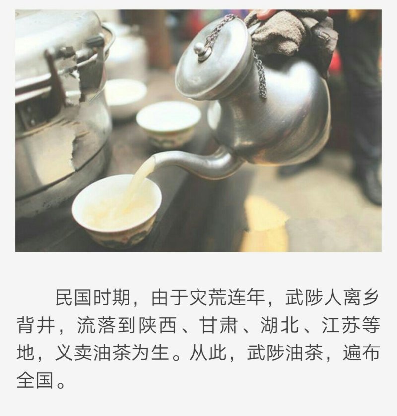 武陟油茶