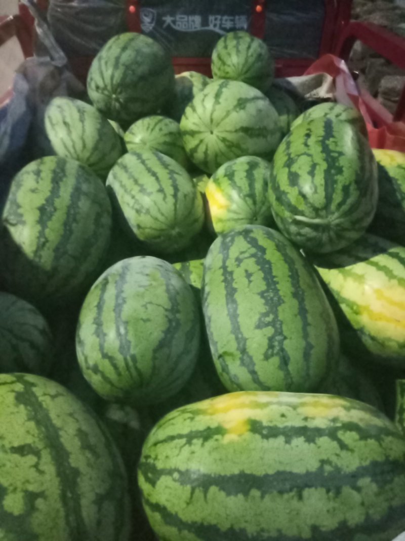 专业收西瓜