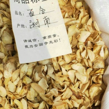 百合高品质质量保证长期供货药店