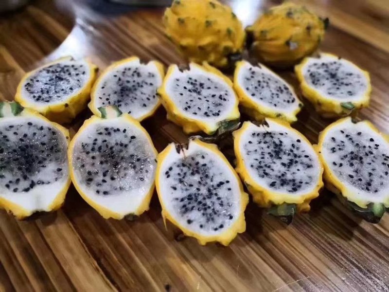 黄皮燕窝火龙果苗，嫁接苗，直生苗都有，挂果快，易生长