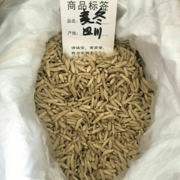 麦冬川麦冬无硫清肺化痰止咳长期供货药店