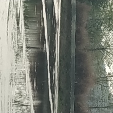 小龙虾