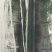小龙虾