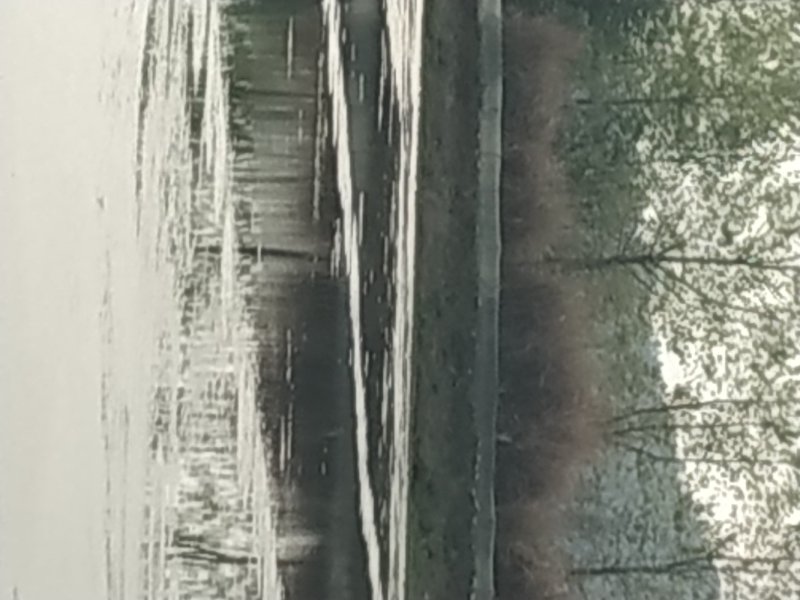 小龙虾