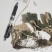 岩白菜野生的无硫无添加干品