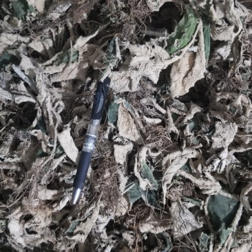 岩白菜野生的无硫无添加干品