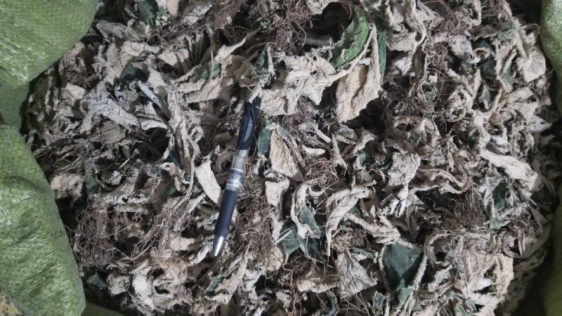 岩白菜野生的无硫无添加干品