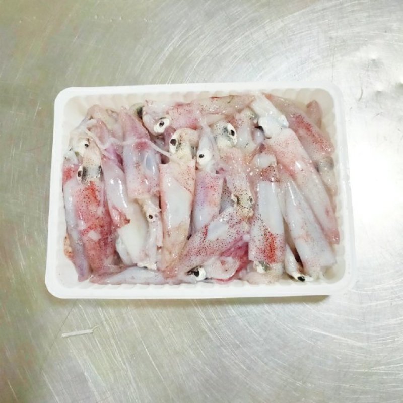 小鱿鱼笔管鱼一口管5-8厘米长度冻厂直批