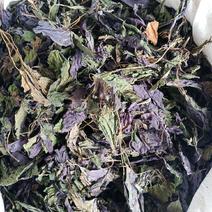 紫苏叶药用干货各种中药材批发零售各种紫苏叶中药材