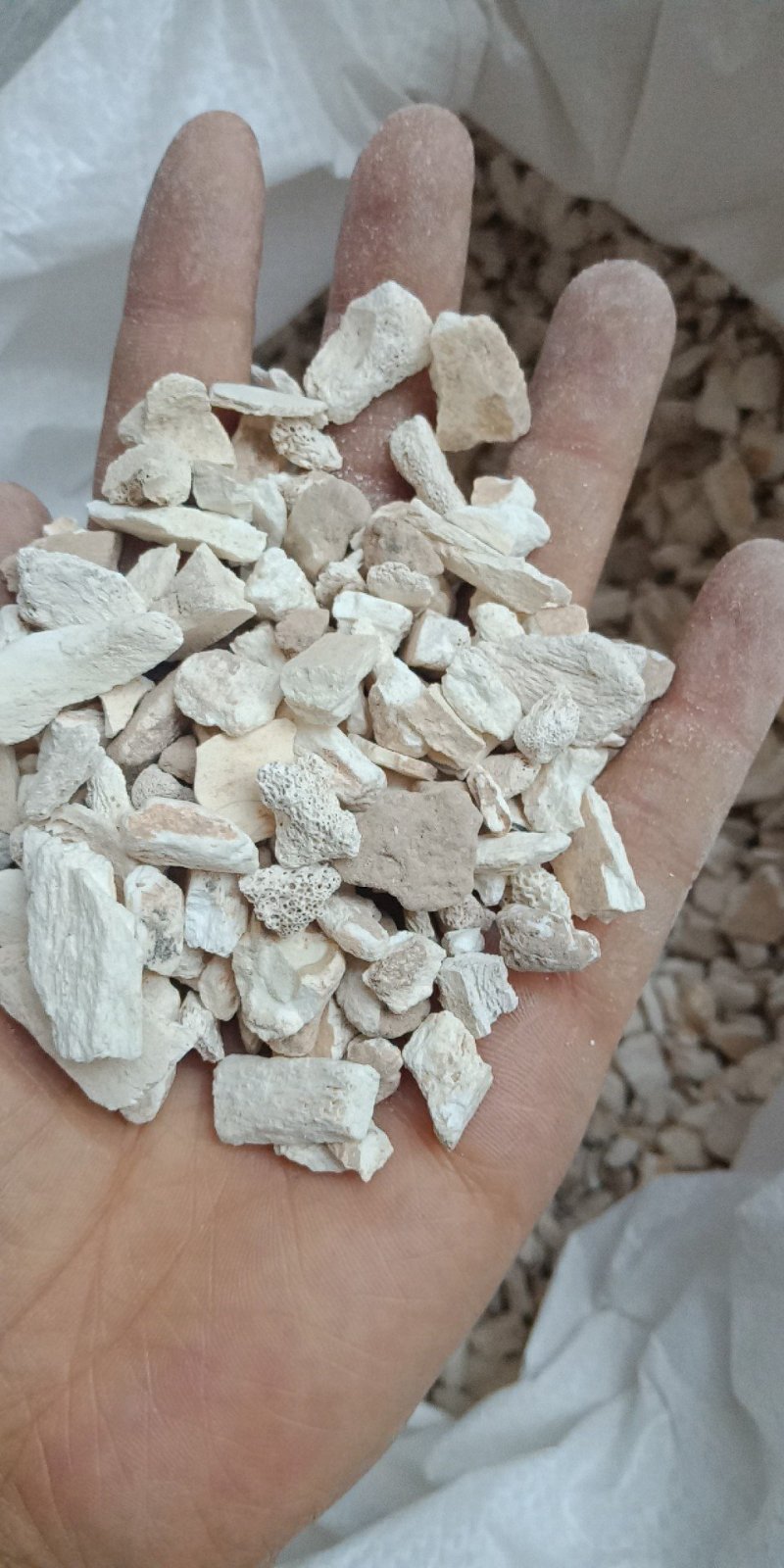 龙骨水洗龙骨批发零售各种规格中药材龙骨欢迎选购